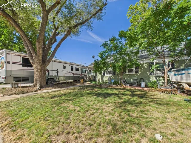 a large tree in the middle of a yard