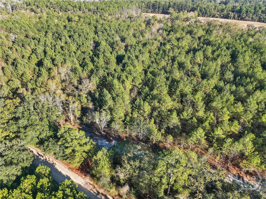 0 Beautiful Zion Cemetery Road Pembroke, GA 31321 - Photo 11 of 13