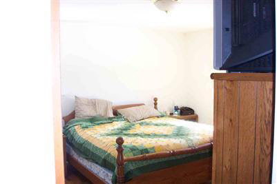 8317 West Stanley Road Flushing, MI 48433 - Photo 7 of 10 20221919-6.JPG