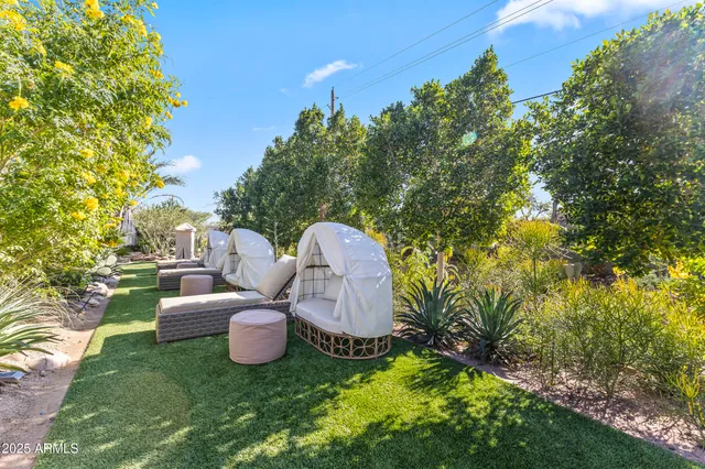 a view of a pathway covered with flower plants