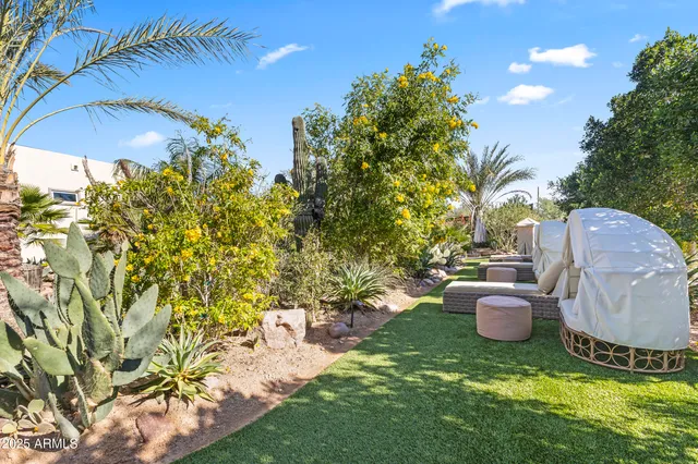 a view of a yard with plants and trees