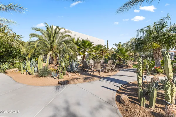 a view of a yard with plants and trees