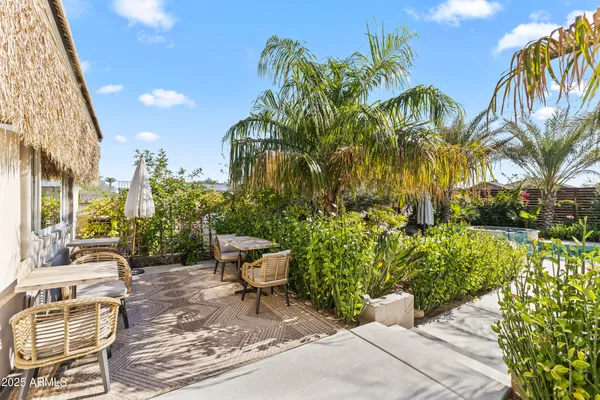 a view of a backyard