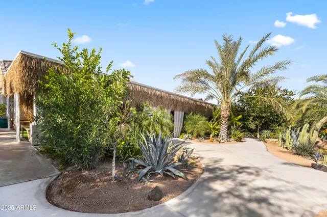 a close up of a plant in a garden