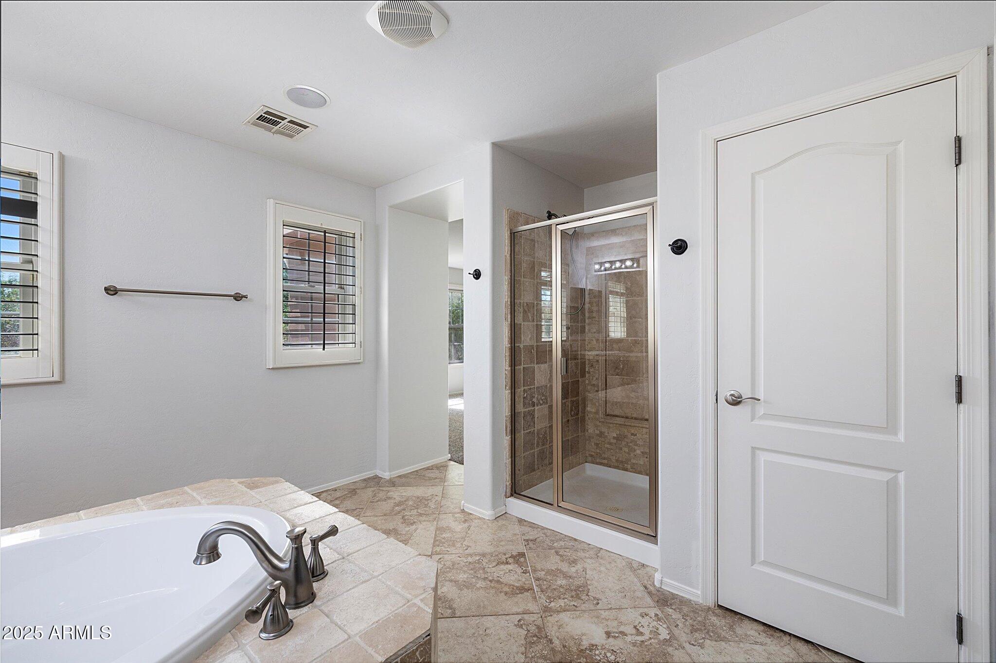 970 South Henry Lane Gilbert, AZ 85296 - Photo 14 of 51 a bathroom with a sink and a tub