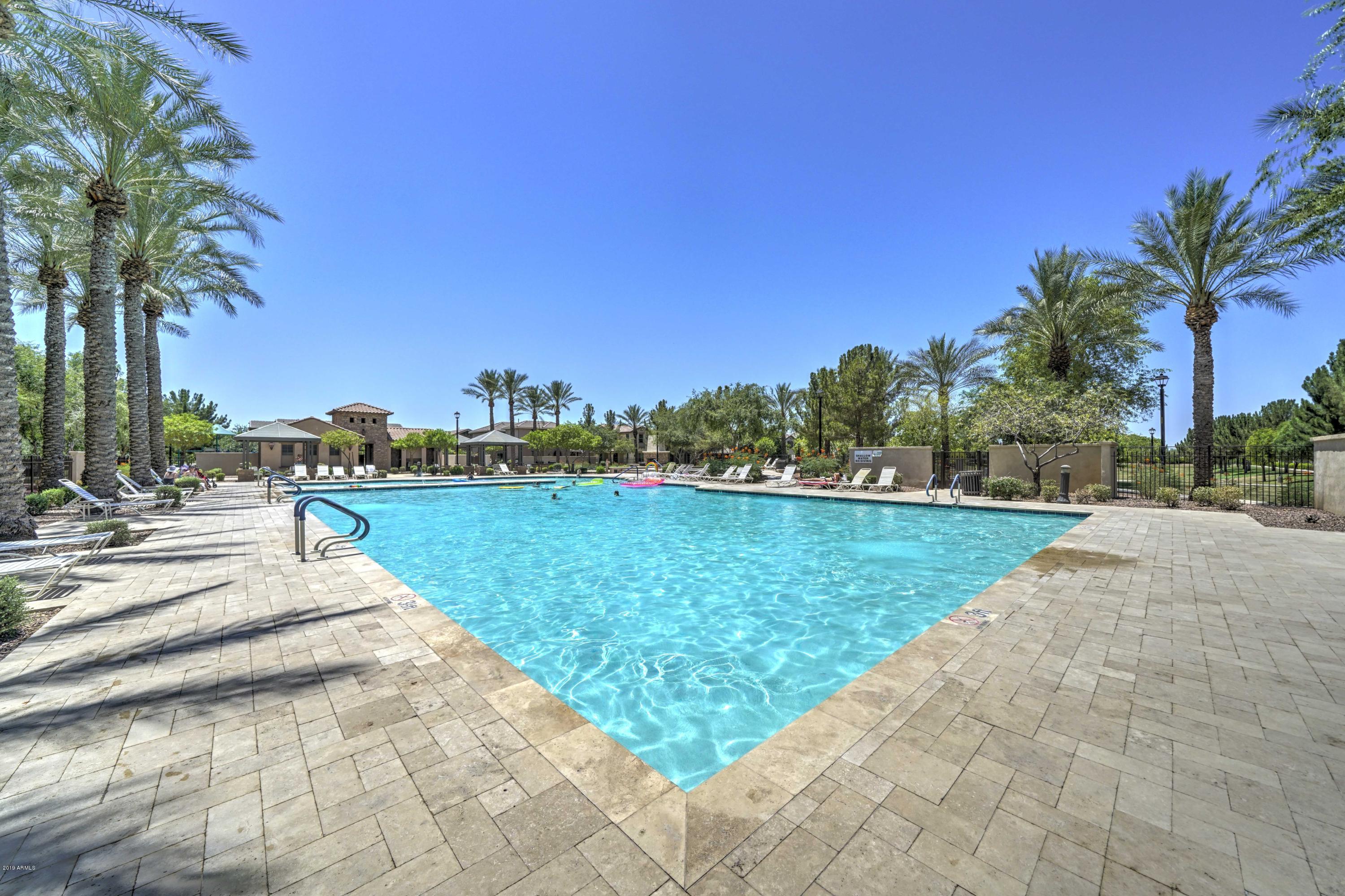 970 South Henry Lane Gilbert, AZ 85296 - Photo 19 of 51 a view of a lake with a yard and palm trees