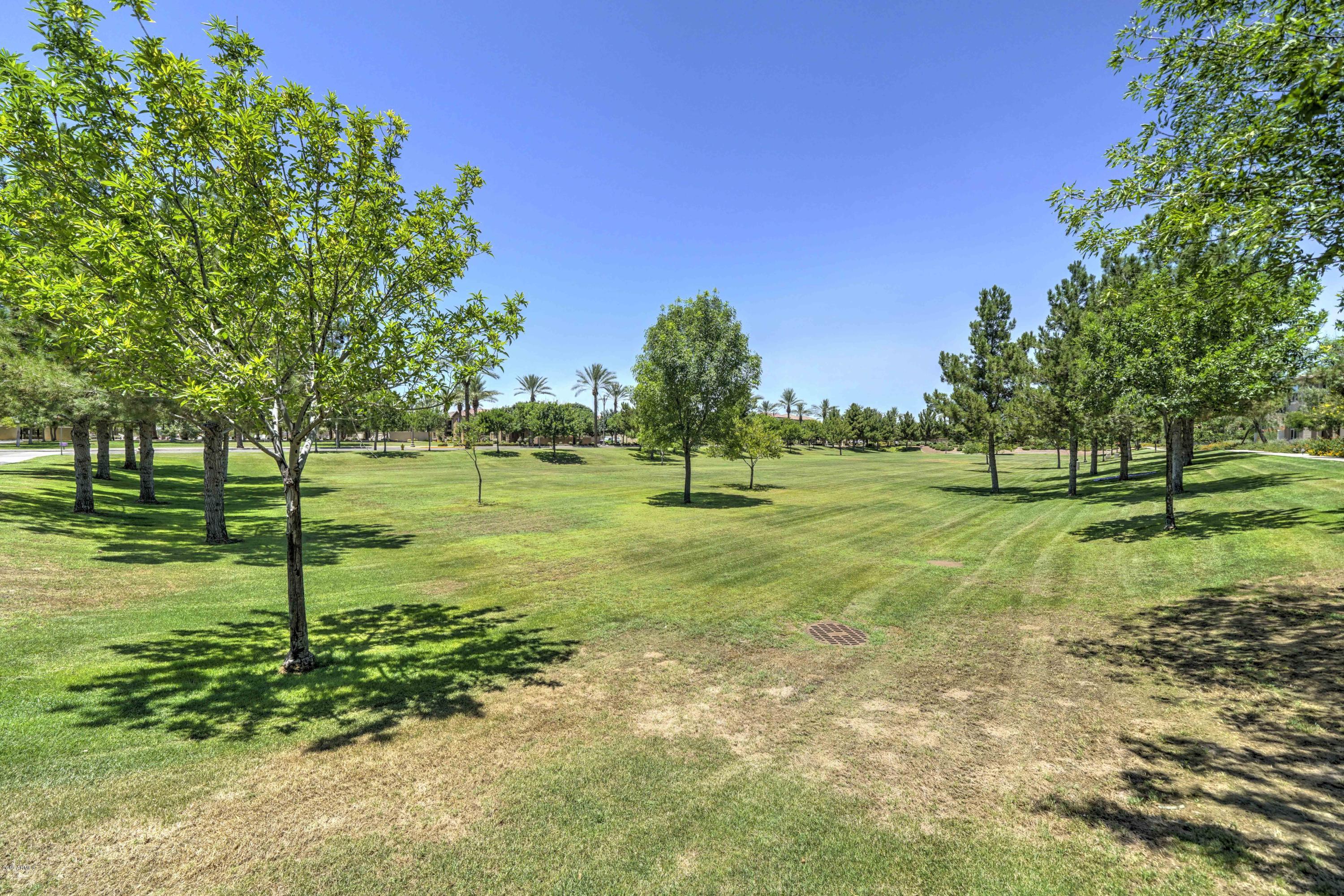 970 South Henry Lane Gilbert, AZ 85296 - Photo 30 of 51 a view of a park with trees