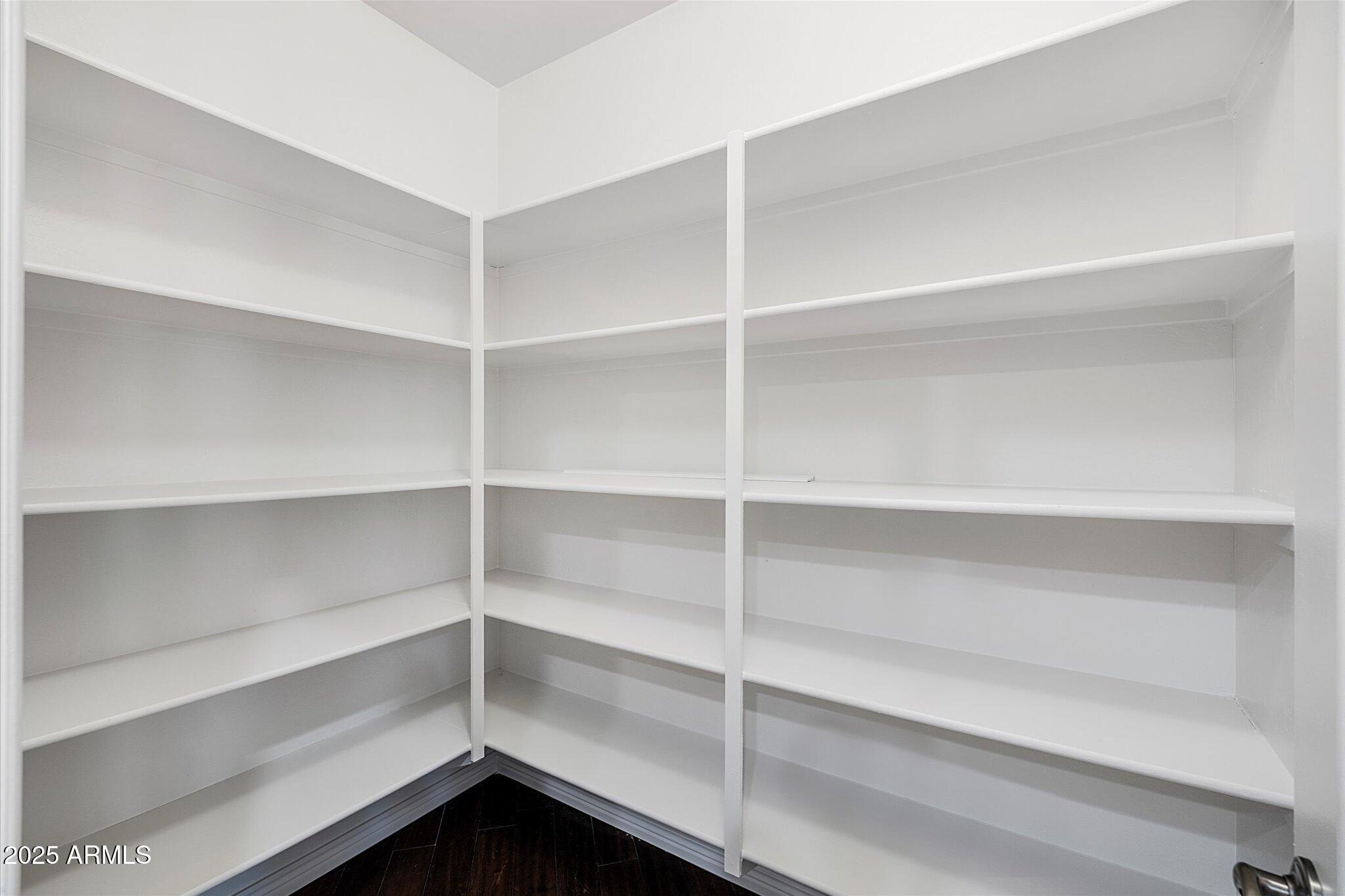 970 South Henry Lane Gilbert, AZ 85296 - Photo 10 of 51 a view of walk in closet with empty racks