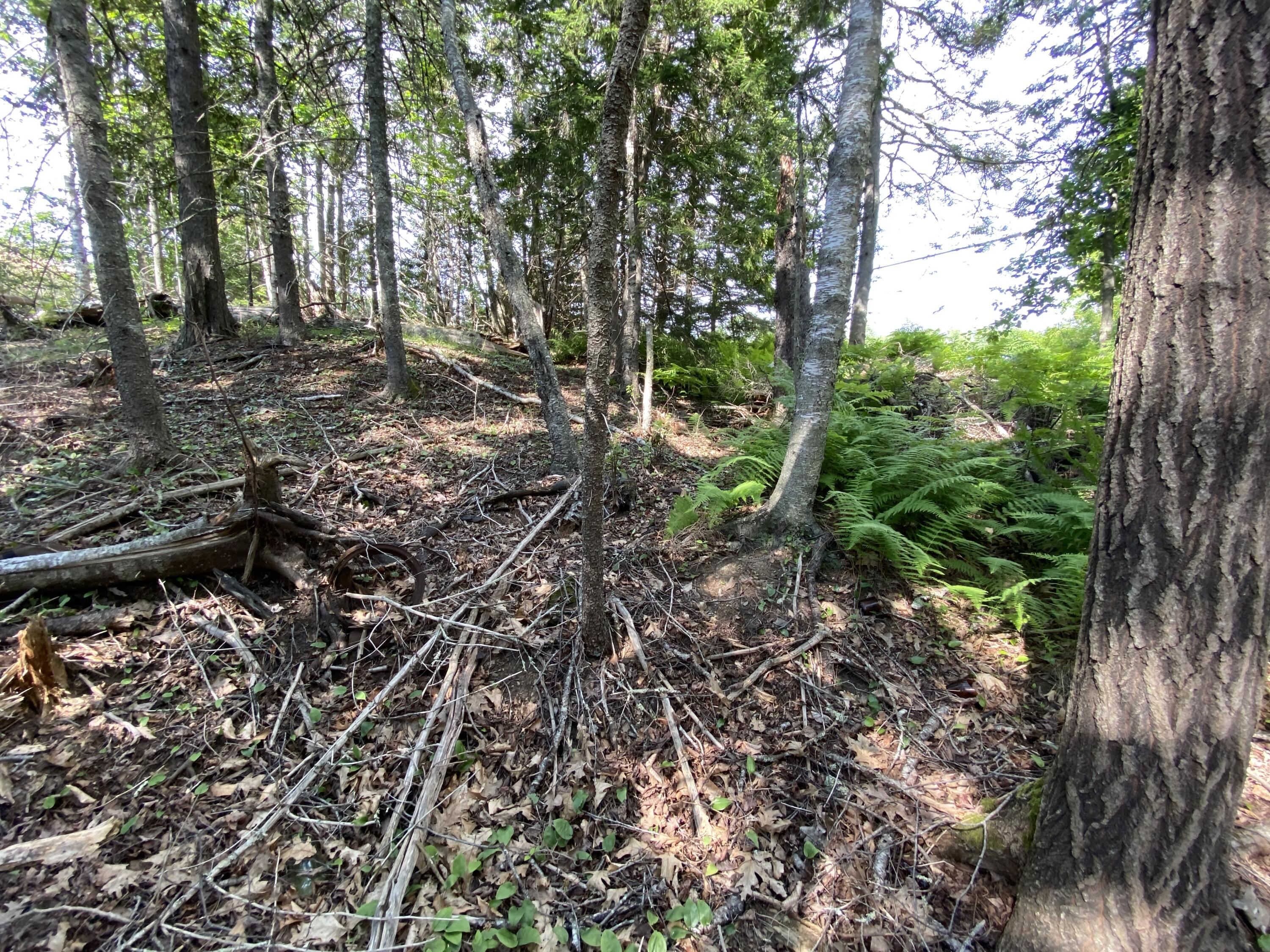22-4f Main Road Islesboro, ME 04848 - Photo 7 of 10 Northeast Hillside