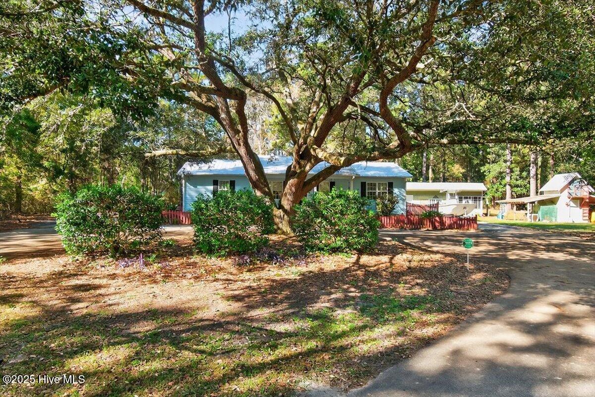 1109 Middle Sound Loop Road Wilmington, NC 28411 - Photo 12 of 49 Beautiful Oak Tree and circular drive
