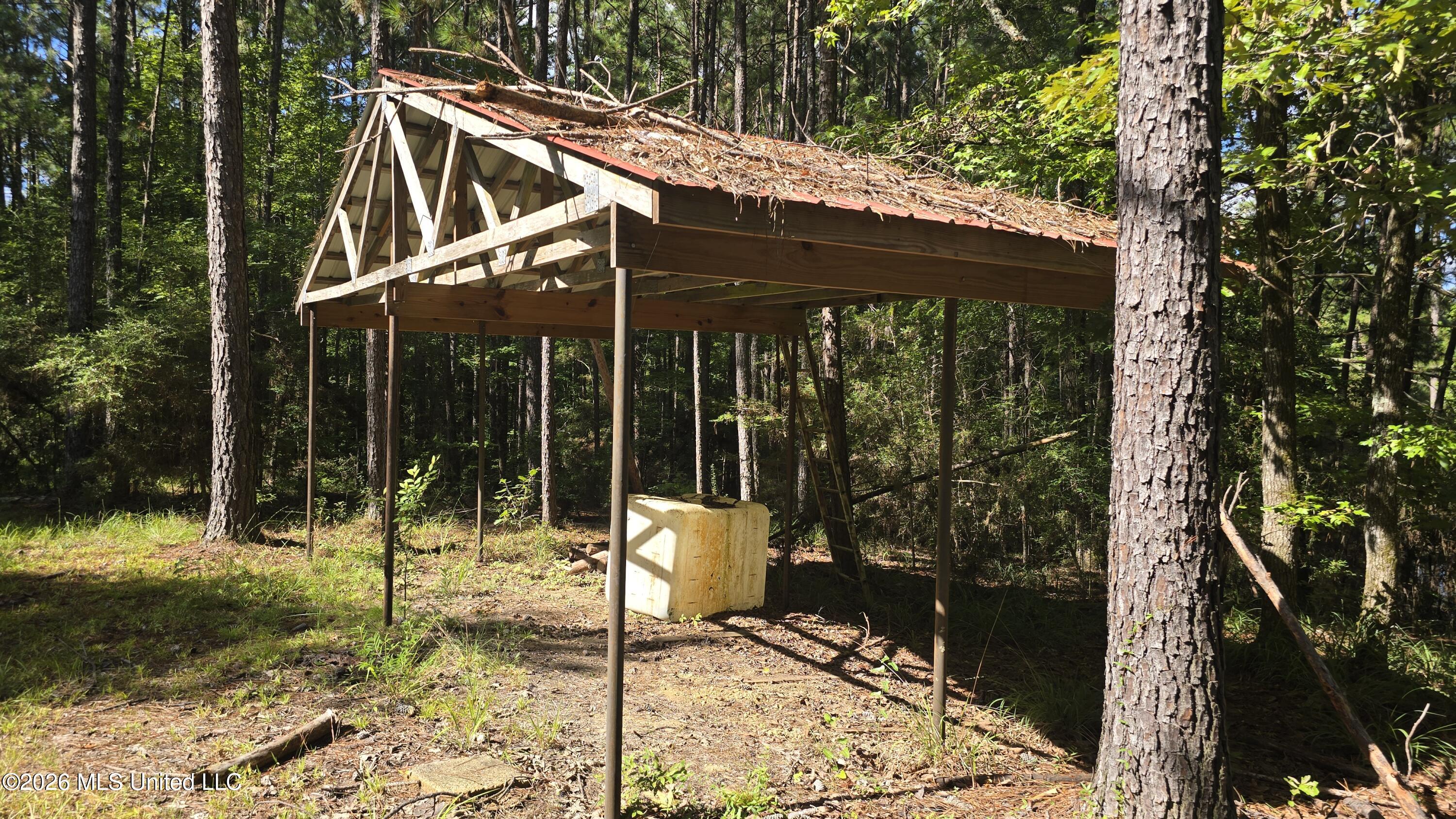 3190 Northeast Quentin Tower Road McCall Creek, MS 39647 - Photo 15 of 33 20260811_100601