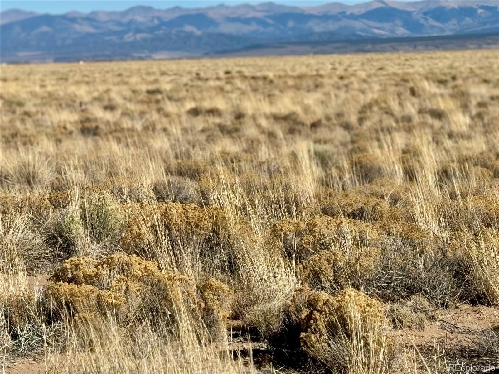 Lot 5 Nina Road San Luis, CO 81152 - Photo 4 of 8 a view of a yard