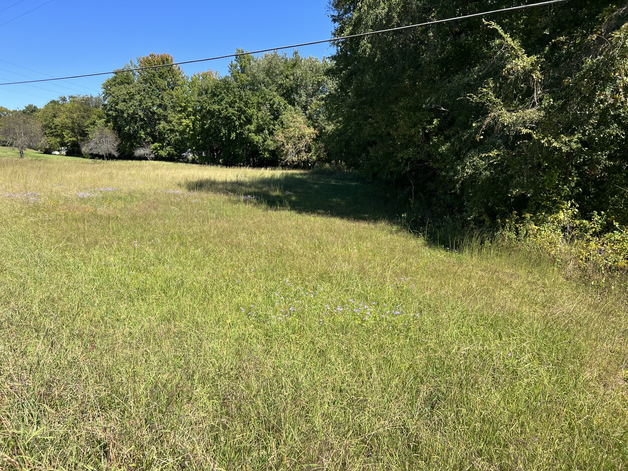 8098 Shellsford Road McMinnville, TN 37110 - Photo 4 of 5 Gallery Image 4
