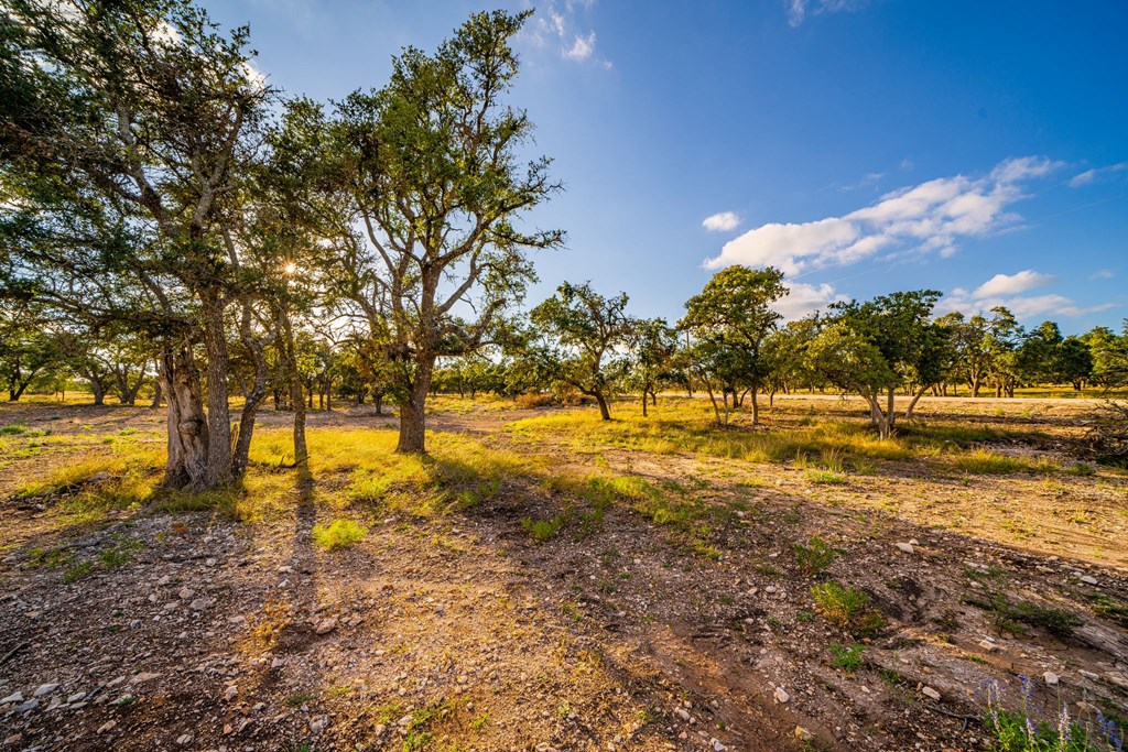 Lot 47 Reservation Road, Unit 47 Harper, TX 78631 - Photo 6 of 6 Gallery Image 6