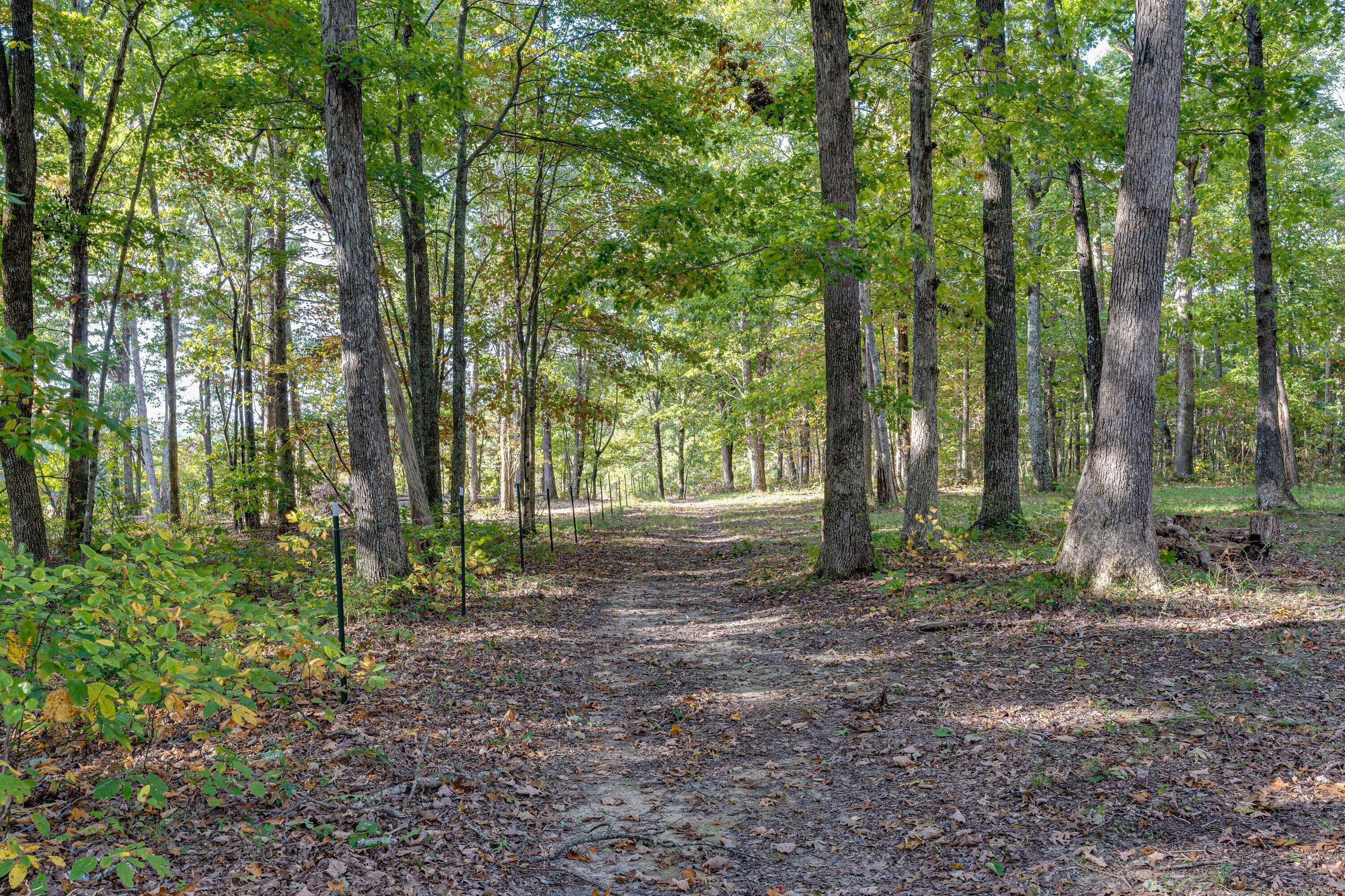 395 Davis Cemetery Road Dunlap, TN 37327 - Photo 35 of 38 395 Davis Cemetery-35