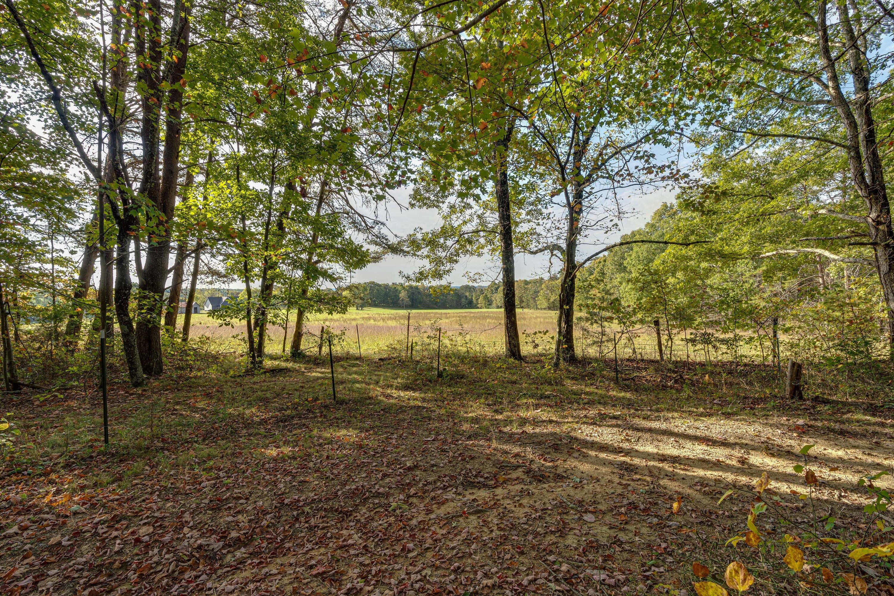 395 Davis Cemetery Road Dunlap, TN 37327 - Photo 37 of 38 395 Davis Cemetery-37
