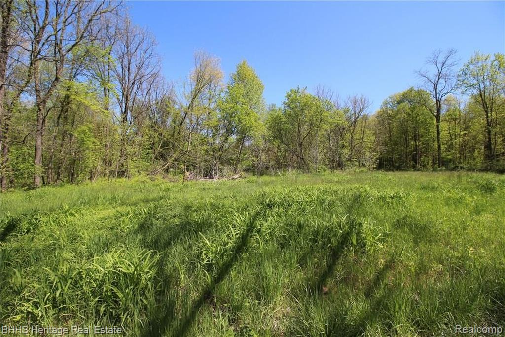 1950 Peavy Road Howell, MI 48843 - Photo 4 of 5