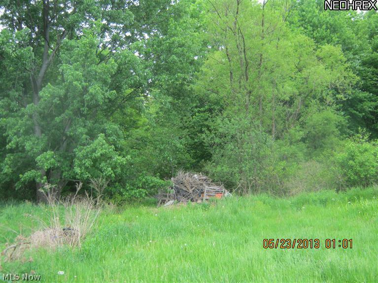 6238 Mechanicsville Road Rome, OH 44085 - Photo 10 of 11