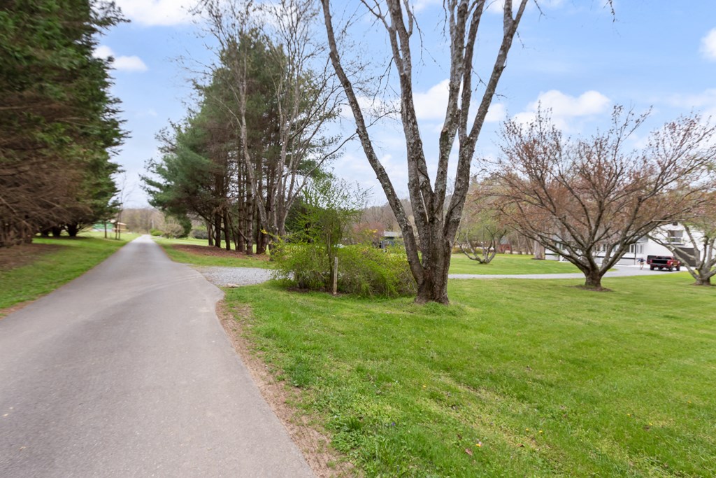 284 Smokeford Road Murphy, NC 28906 - Photo 4 of 124 Gallery Image 4
