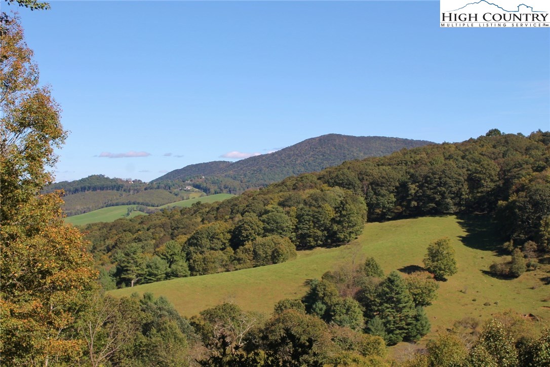490 Homestead Road Todd, NC 28684 - Photo 2 of 35 Gallery Image 2