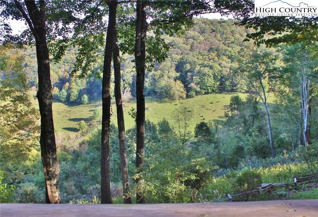 490 Homestead Road Todd, NC 28684 - Photo 32 of 35 Gallery Image 32