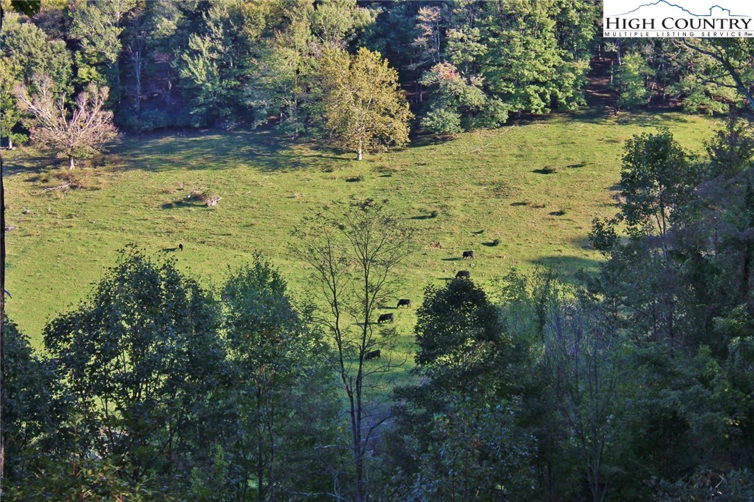 490 Homestead Road Todd, NC 28684 - Photo 34 of 35 Gallery Image 34