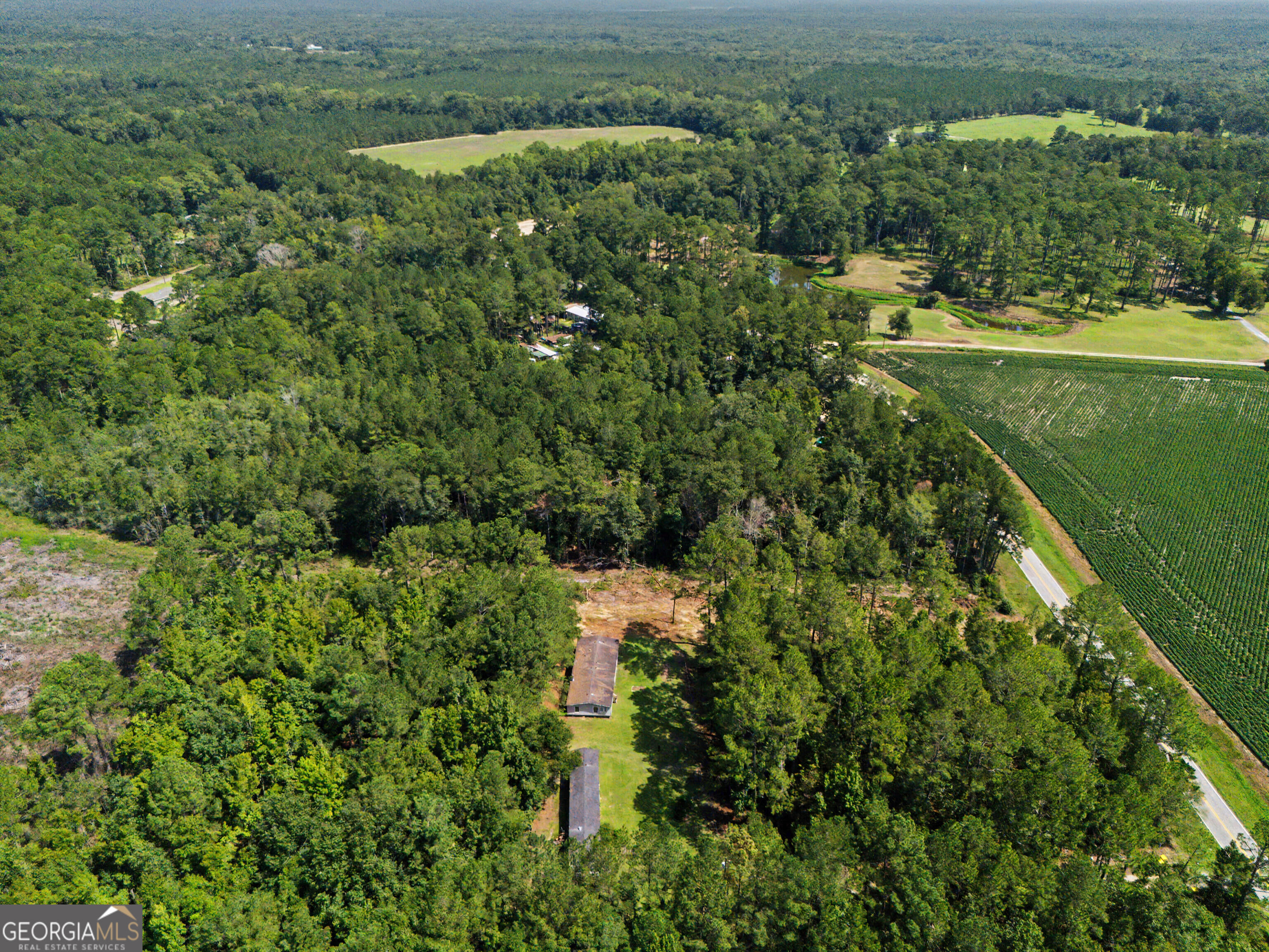 729 Reedsville Road Clyo, GA 31303 - Photo 33 of 41 Gallery Image 33