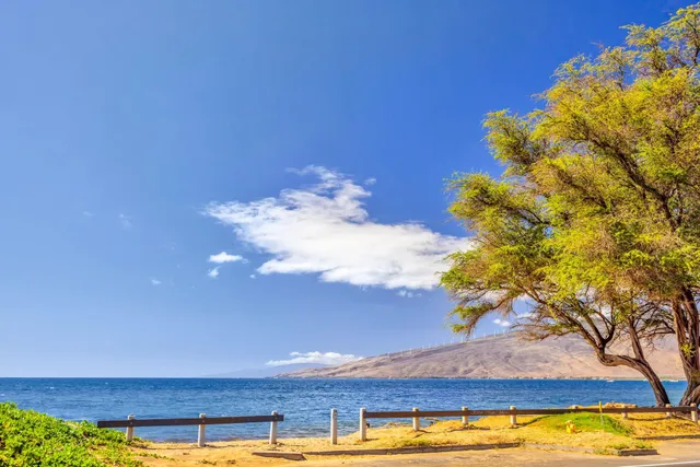 $1,099,000 | 32 Kai Makani Loop, Unit N203, Kihei, HI 96753