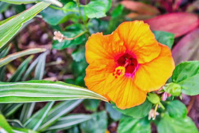 $1,099,000 | 32 Kai Makani Loop, Unit N203, Kihei, HI 96753