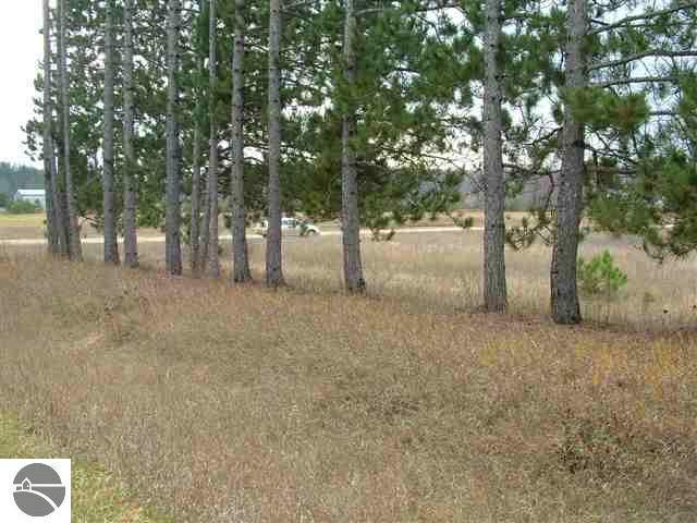 1575 Darke Road Kalkaska, MI 49646 - Photo 15 of 15 1721424-14.JPG
