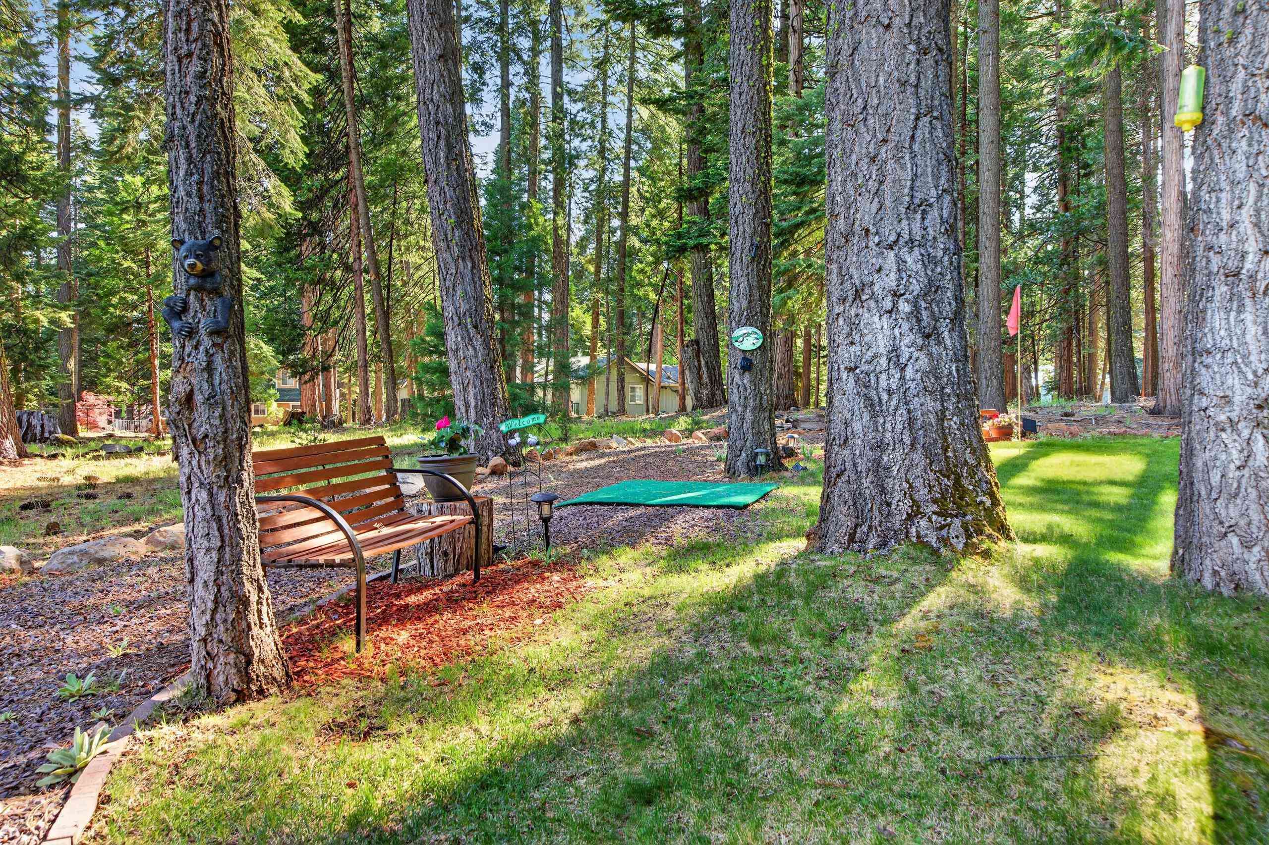 715 East Mountain Ridge Road Lake Almanor, CA 96137 - Photo 17 of 49