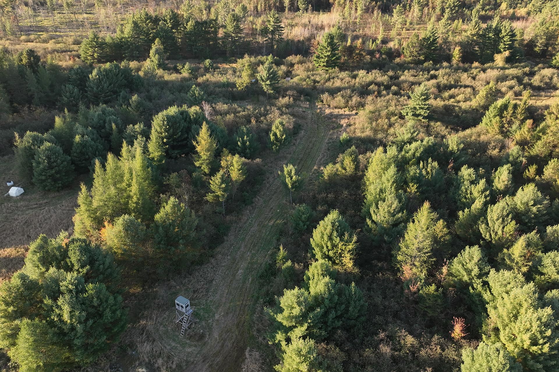 81-acres Anderson Road Neillsville, WI 54456 - Photo 21 of 38