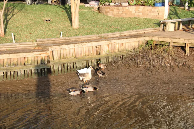 $975 | 5202 County Road 469, Brazoria, TX 77422