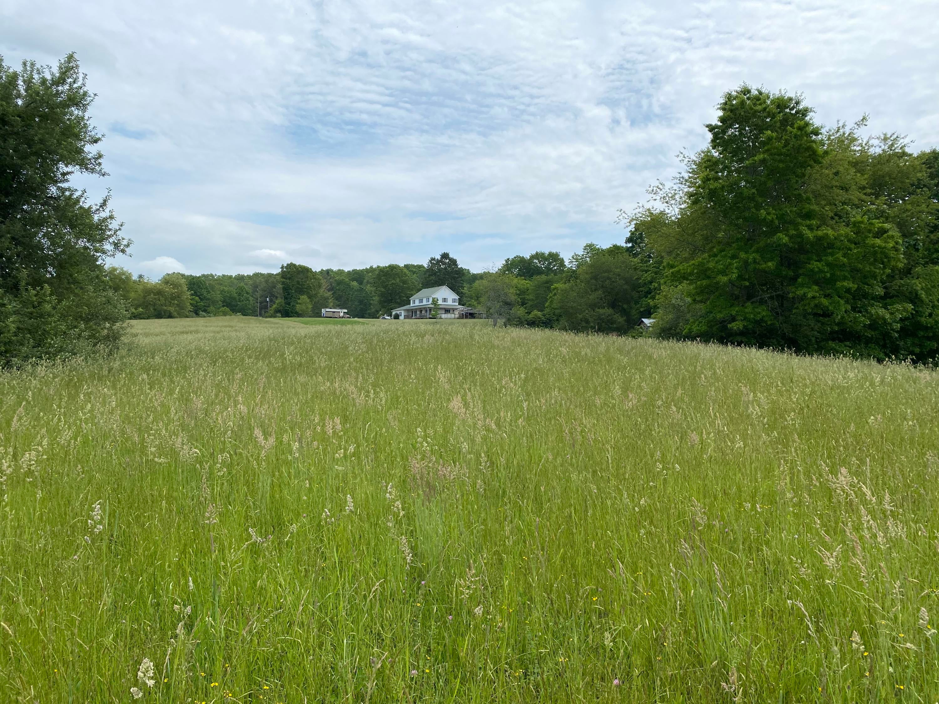 542 Slab Camp Road Renick, WV 24966 - Photo 58 of 65 Gallery Image 58