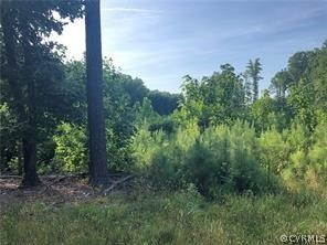 0 Winston Road Ashland, VA 23005 - Photo 1 of 6 Gallery Image 1
