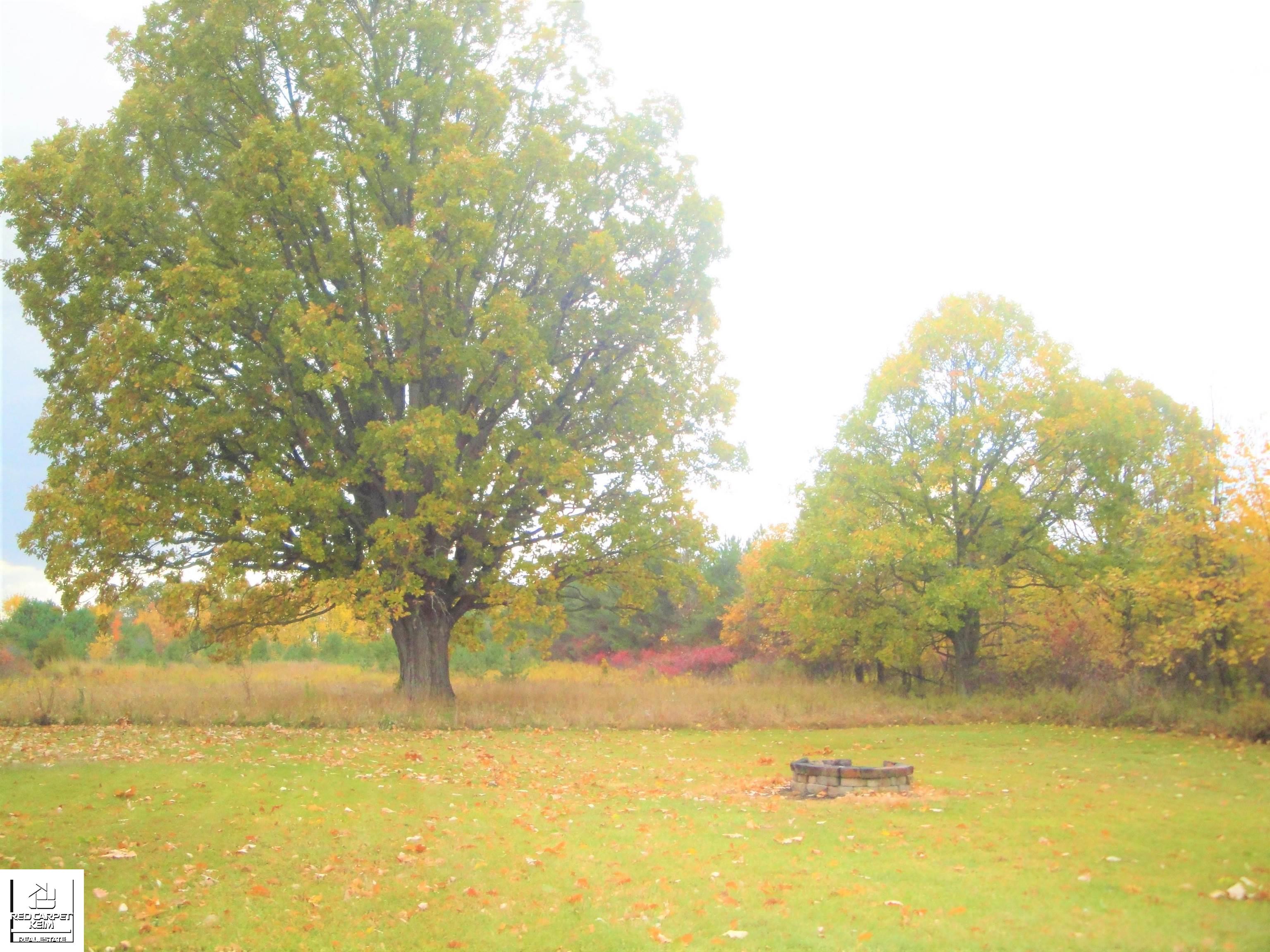 10167 Cook Road Gaines, MI 48436 - Photo 18 of 20 50096765-17.JPG