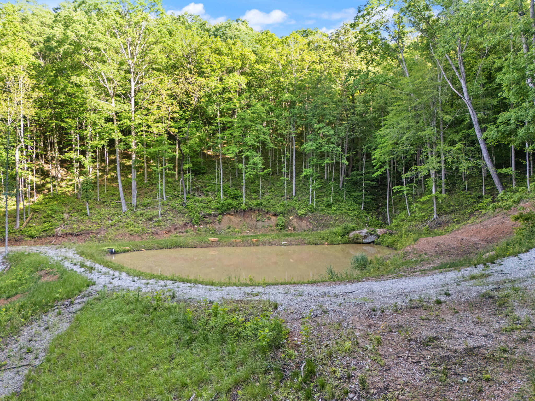 12332 Campton Road Stanton, KY 40380 - Photo 21 of 24 IMG_7651
