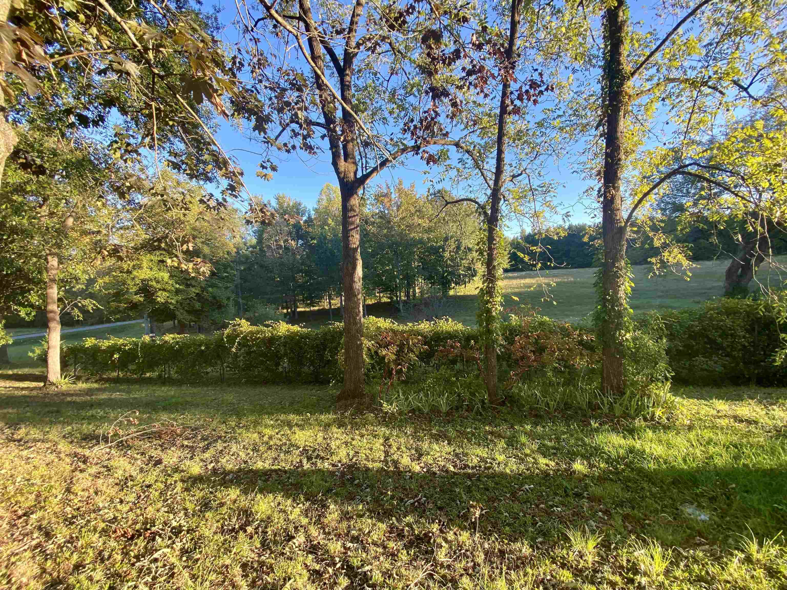 14833 Creedmoor Road Wake Forest, NC 27587 - Photo 17 of 18 Photo 17