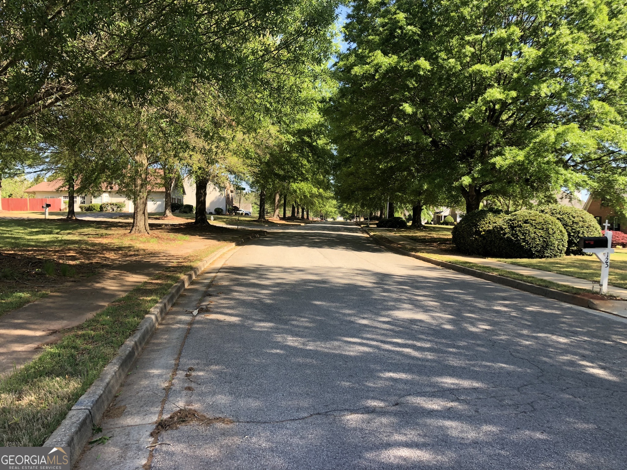 340 Noel Way Hampton, GA 30228 - Photo 4 of 26