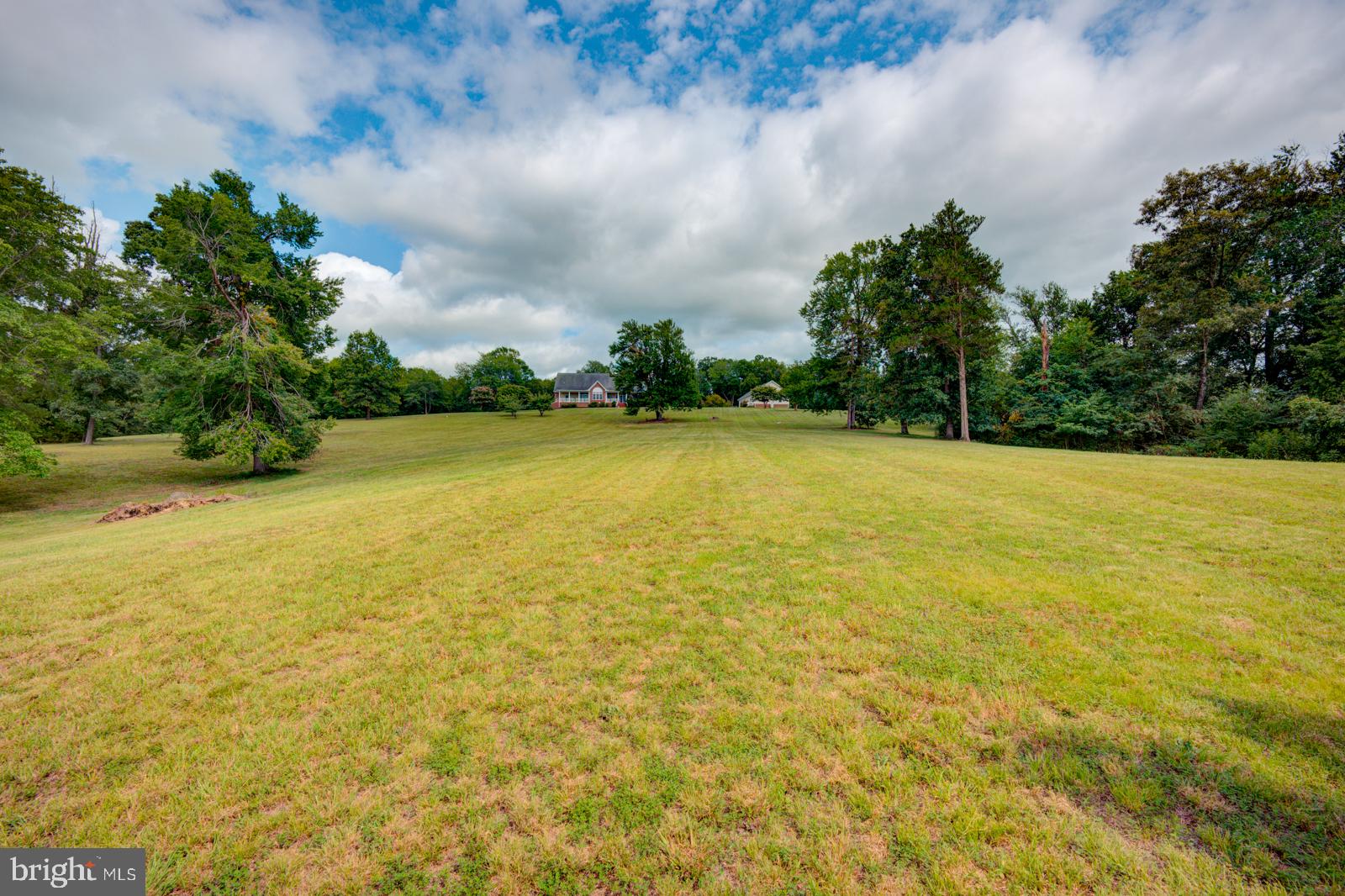 6542 Pine Stake Road Culpeper, VA 22701 - Photo 66 of 113 Sprawling green landscape under clouds.