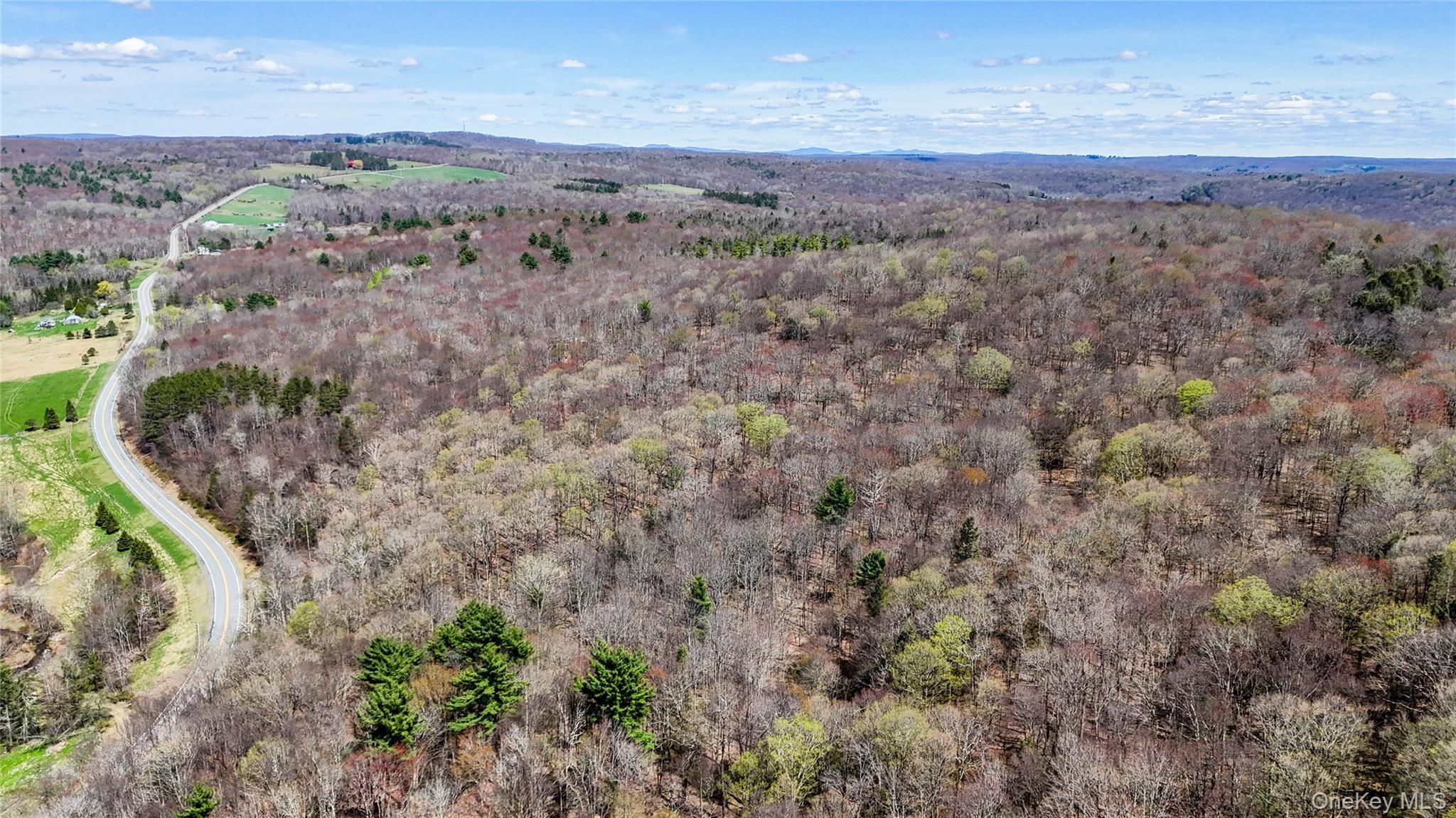 624 County Road Fremont Center, NY 12736 - Photo 6 of 33