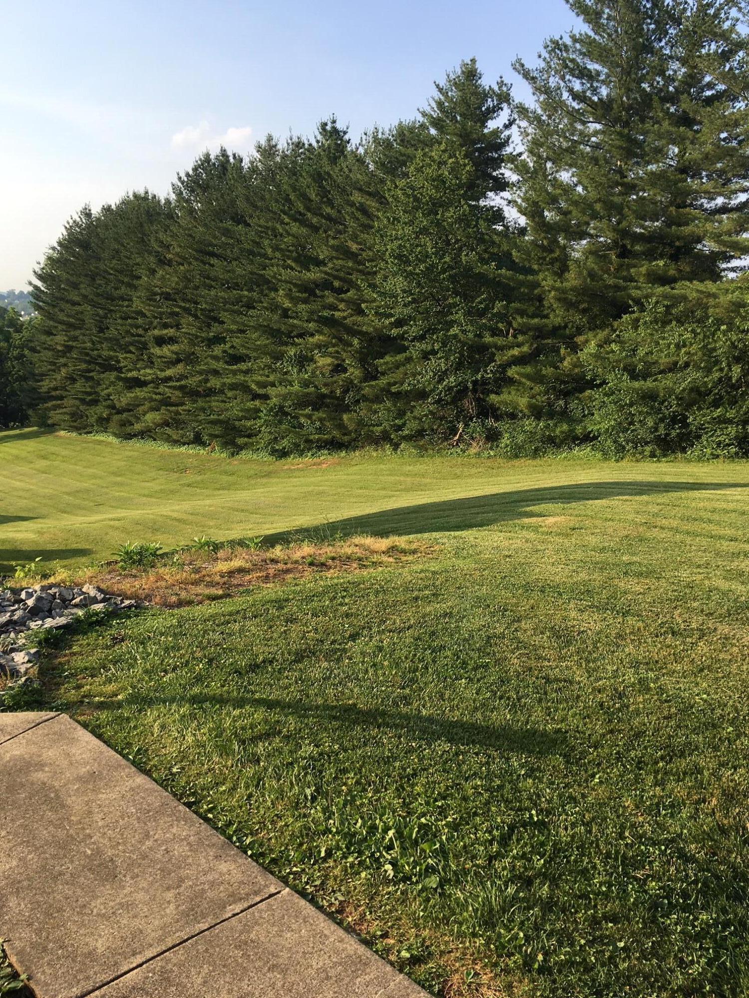 184 Quail Run, Unit 184 Bristol, VA 24201 - Photo 23 of 24 IMG_0790