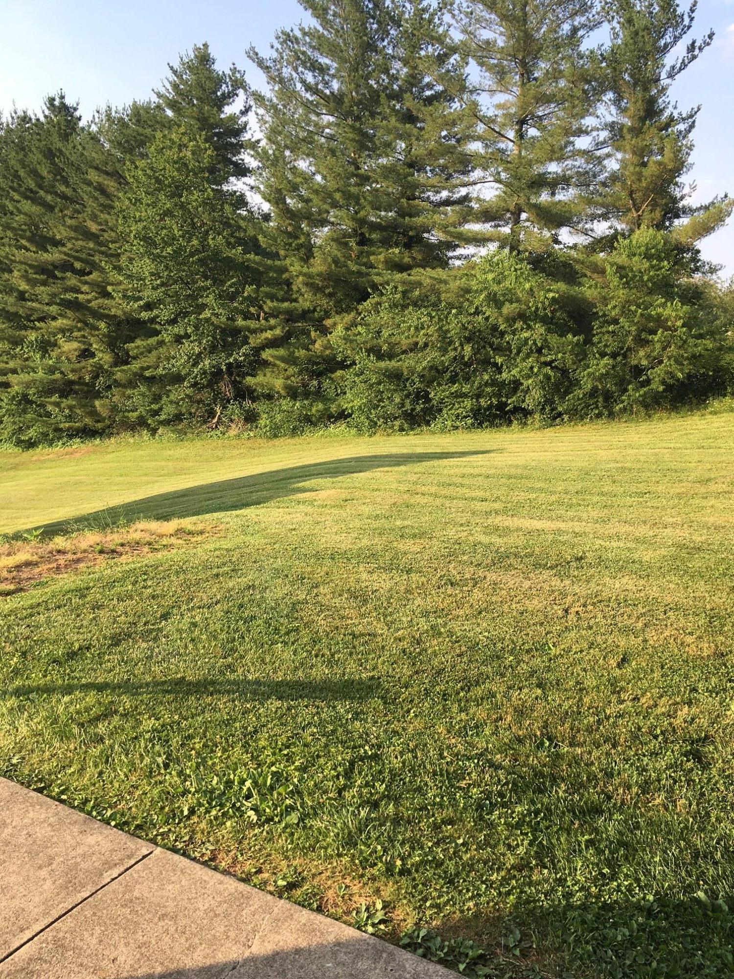 184 Quail Run, Unit 184 Bristol, VA 24201 - Photo 24 of 24 IMG_0789