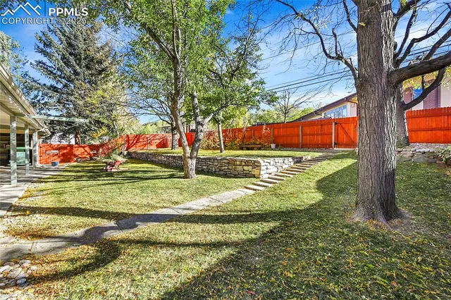a view of a park with large trees
