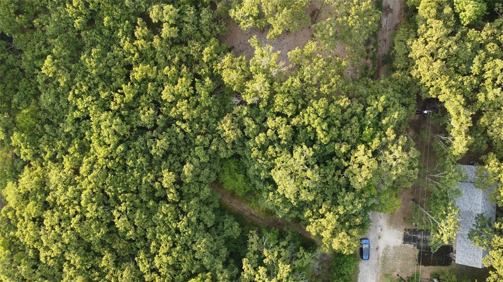 9744 Shady Lane Quinlan, TX 75474 - Photo 4 of 11 a view of a tree