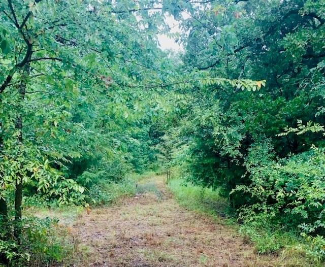 9744 Shady Lane Quinlan, TX 75474 - Photo 5 of 11 a view of a yard with a tree