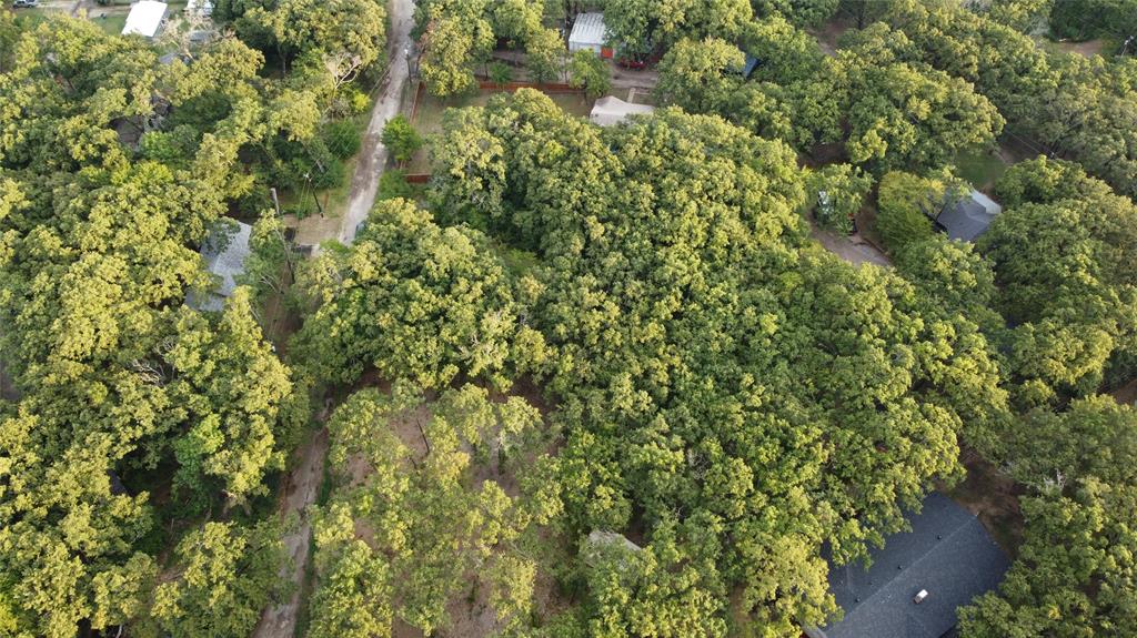 9744 Shady Lane Quinlan, TX 75474 - Photo 8 of 11 a view of a lush green forest with a tree