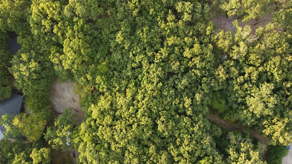 9744 Shady Lane Quinlan, TX 75474 - Photo 10 of 11