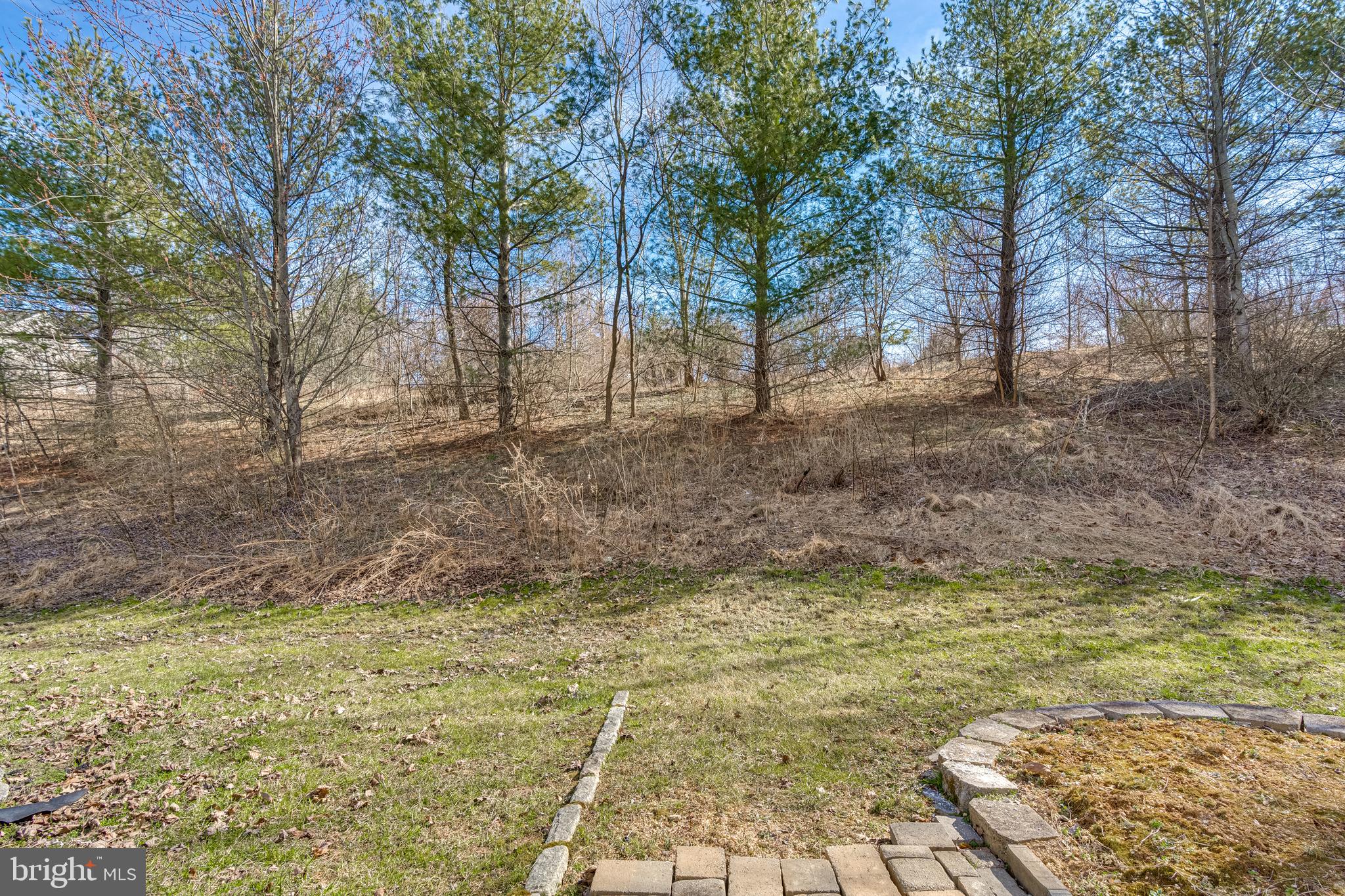 10819 Wadsworth Road Woodstock, MD 21163 - Photo 4 of 52 level private backyard