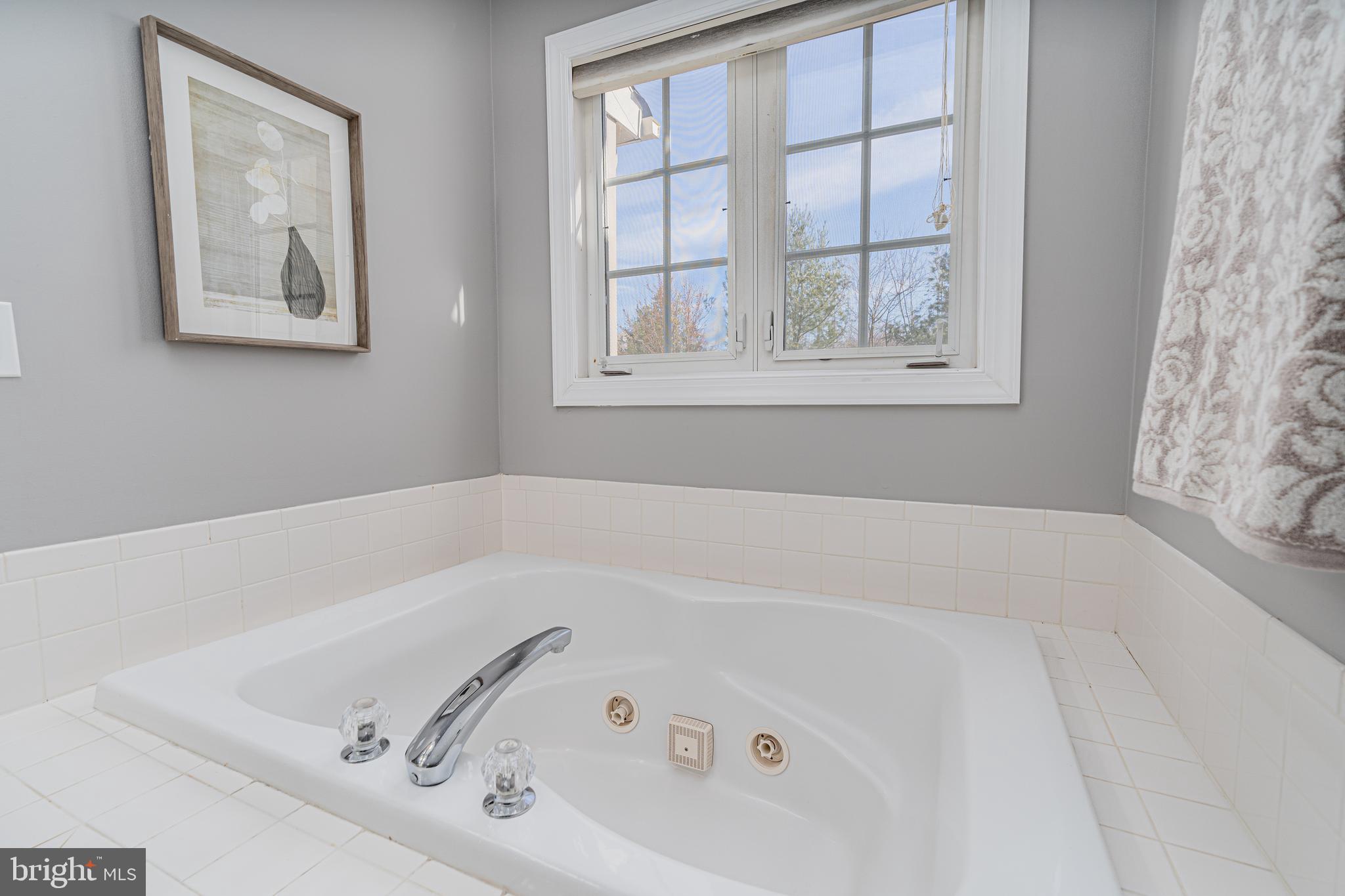 10819 Wadsworth Road Woodstock, MD 21163 - Photo 35 of 52 Whirlpool tub in master bath